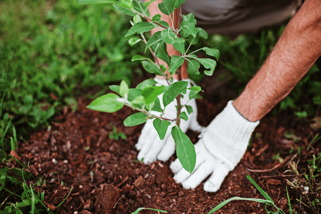 Small garden ideas for park homes Flower planting
