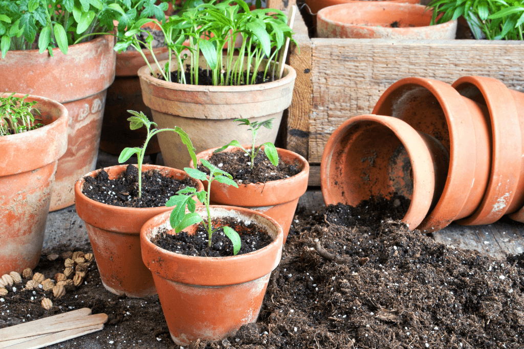 Small garden ideas for park homes Plant pots