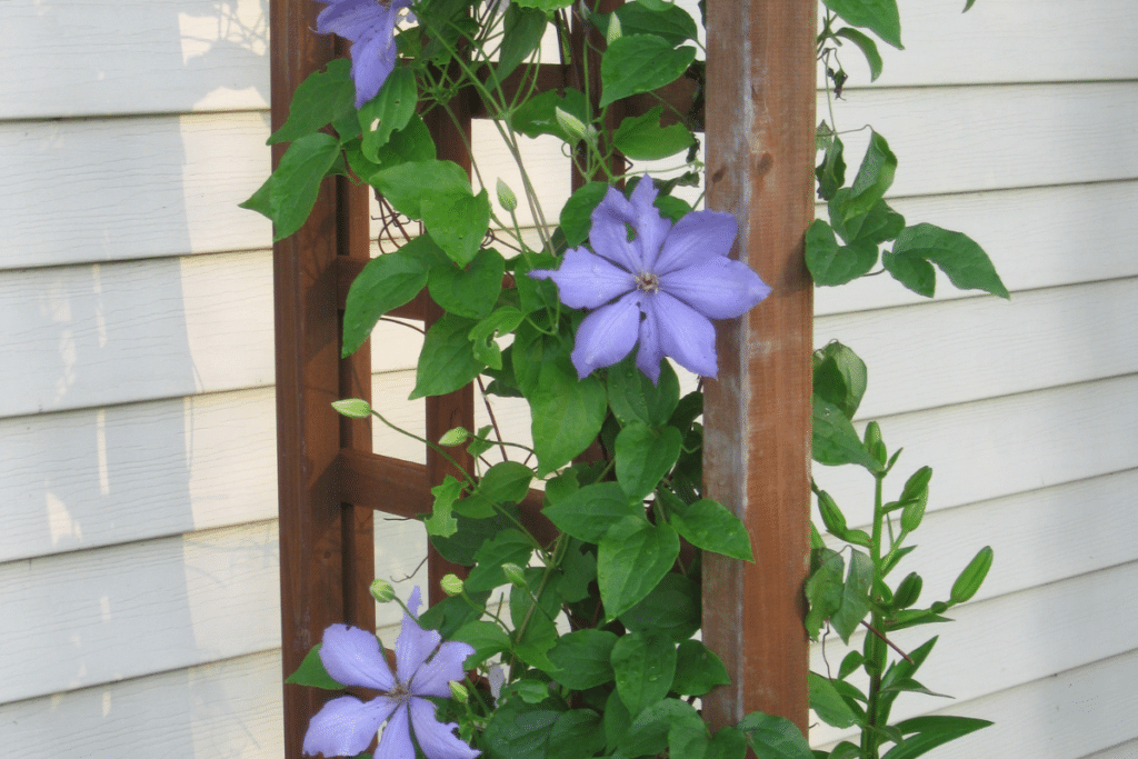 Going vertical for colour