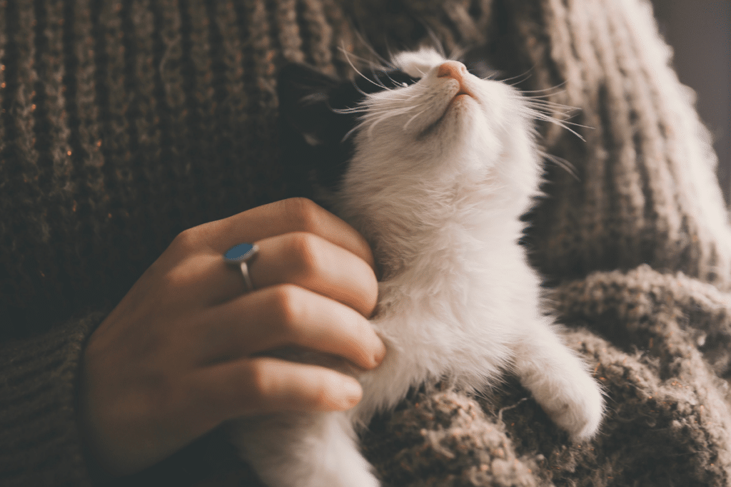 Why a Pet is Good for You in Later Life